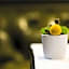 La Cour des Consuls Hotel and Spa Toulouse - MGallery