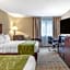 Comfort Inn Lansing West