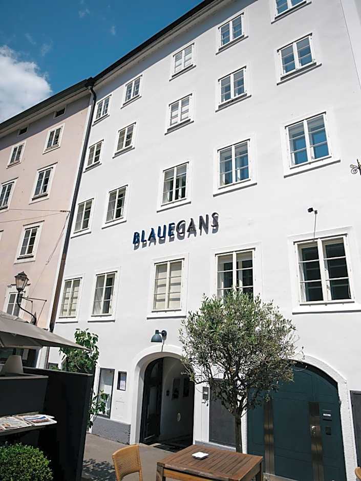 Arthotel Blaue Gans