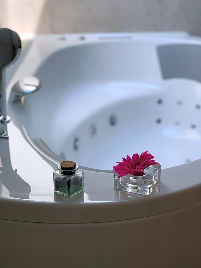 eco boutique hotel AMS Beagle