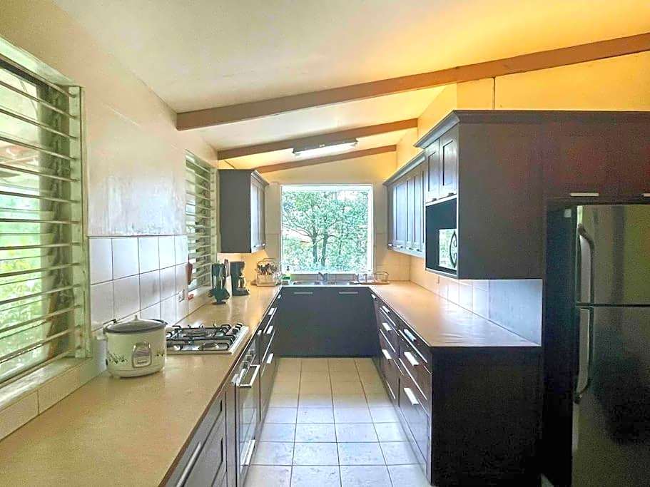 Mid-Century Modern Centrally Located Garden Oasis