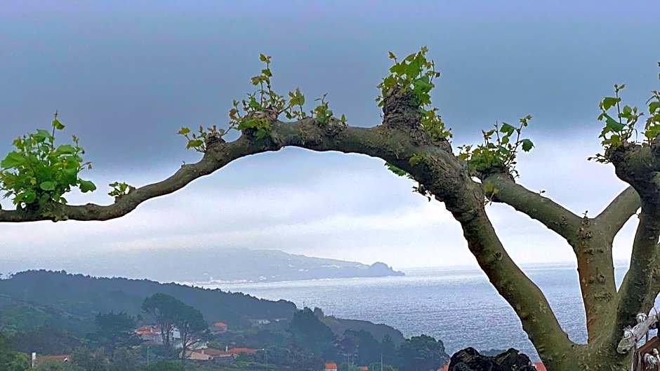 Miradouro da Papalva Guest House - Pico - Azores