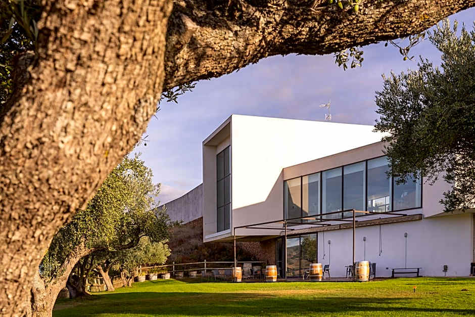 Hotel-Bodega Finca de Los Arandinos