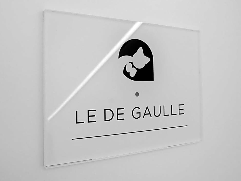Au Chat Qui Dort Lille - Magasin