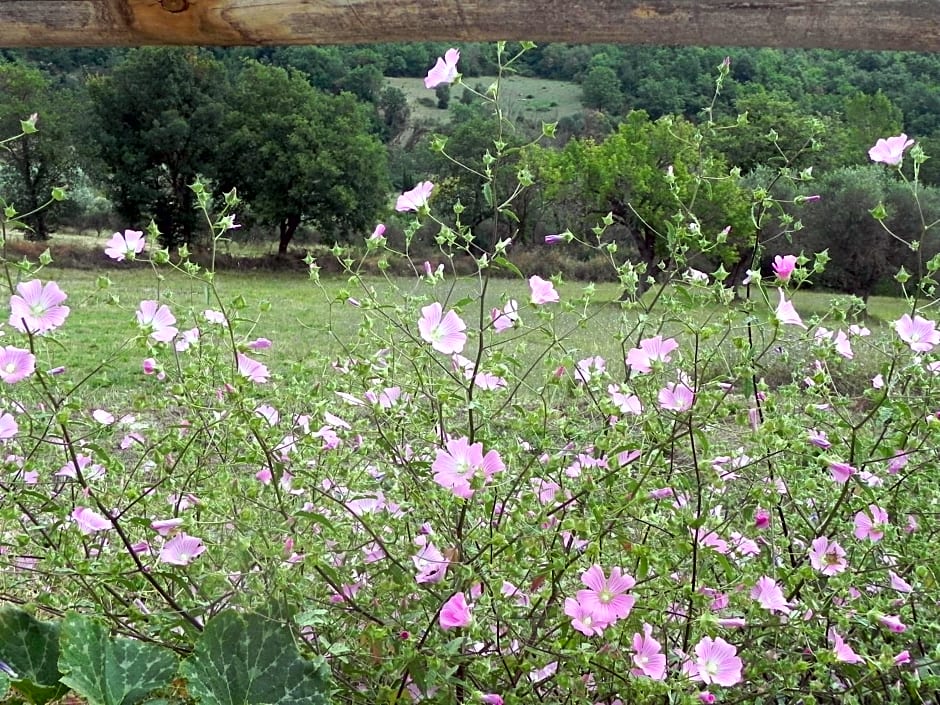 B&B Il Rifugio di Nino