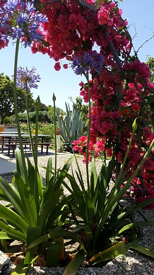 SERRA E MESU Affittacamere