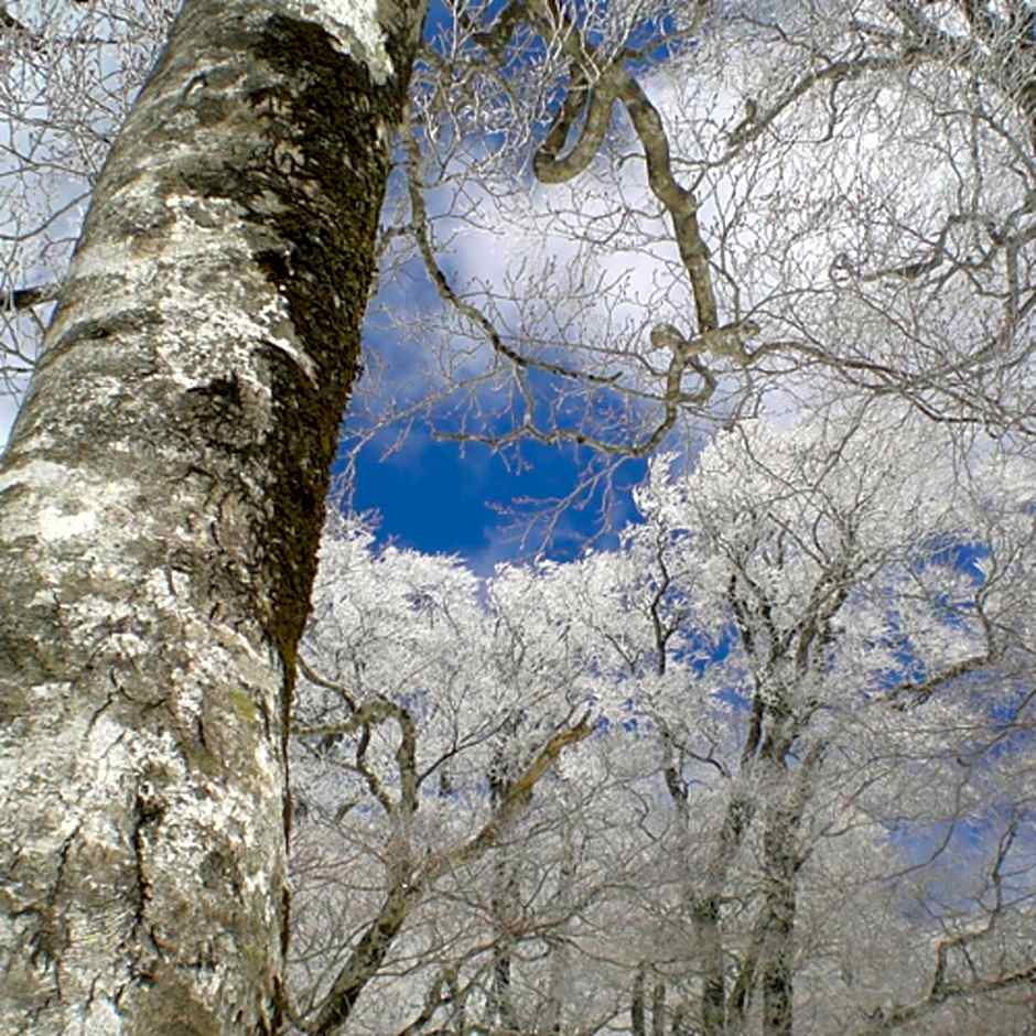 Kyukamura Oku-Daisen