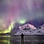 Astra Whale - Waterfront Boutique Hostel in Lofoten