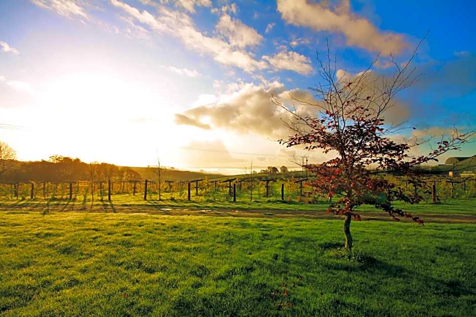 Jabajak Vineyard Restaurant & Rooms