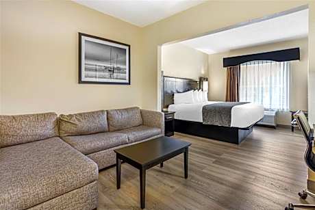 Suite-1 King Bed, Non-Smoking, High Speed Internet Access, Sofabed, Refrigerator, Coffee Maker, Hair