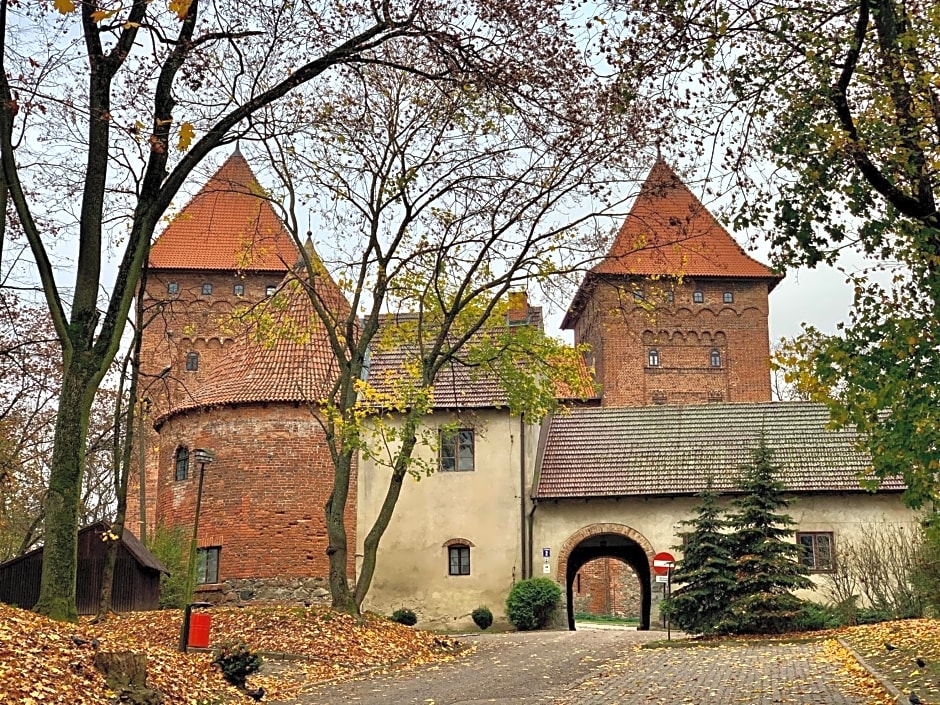 Zamek Nidzica