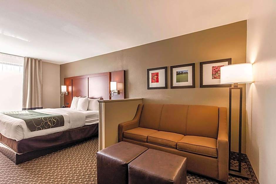 Comfort Suites Tuscaloosa near University