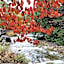 Shinshu Kaida Kogen Nishino Onsen Yamaka no Yu