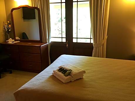 Deluxe One-Bedroom Apartment