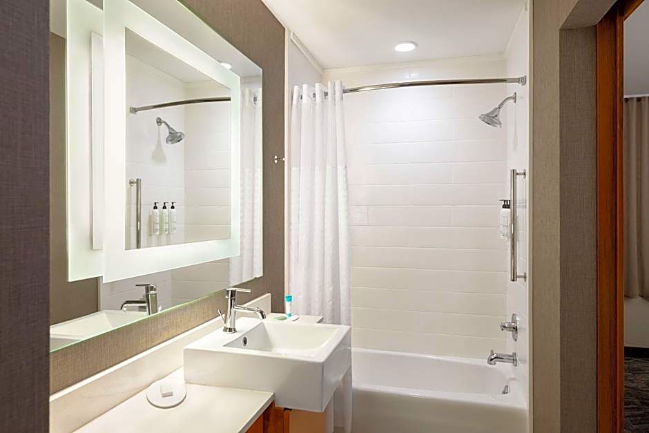 SpringHill Suites by Marriott Wisconsin Dells