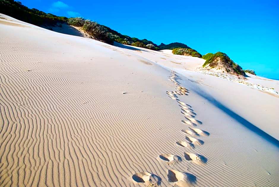 Oceana Beach and Wildlife Reserve