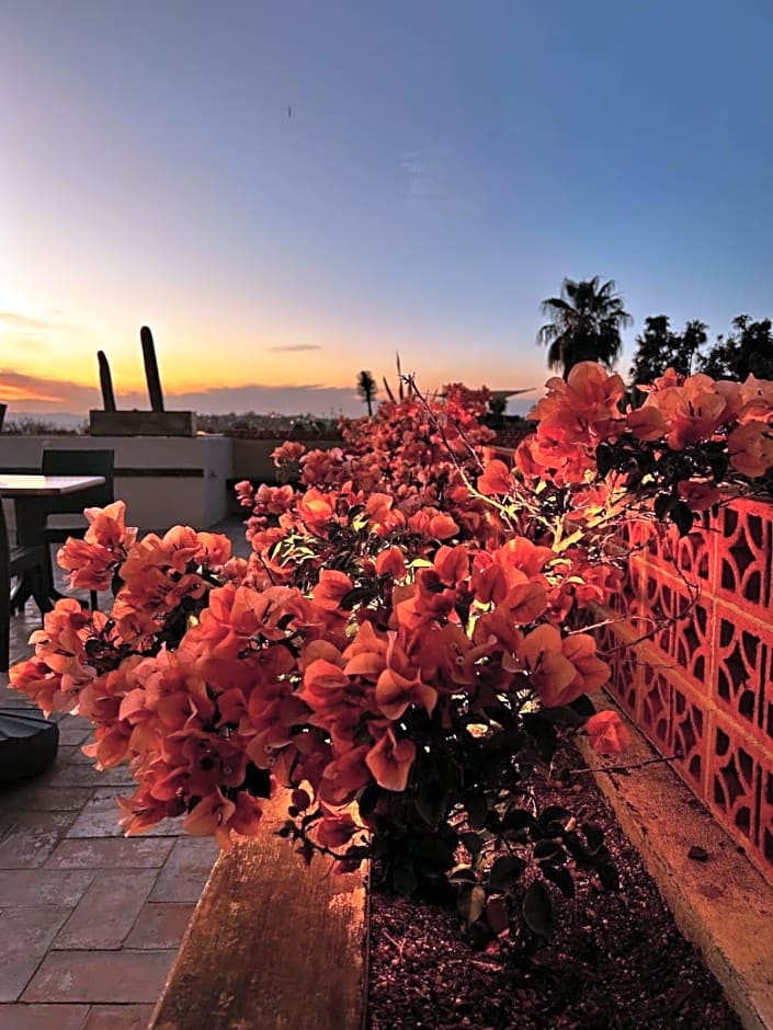 Bito's Hotel Boutique
