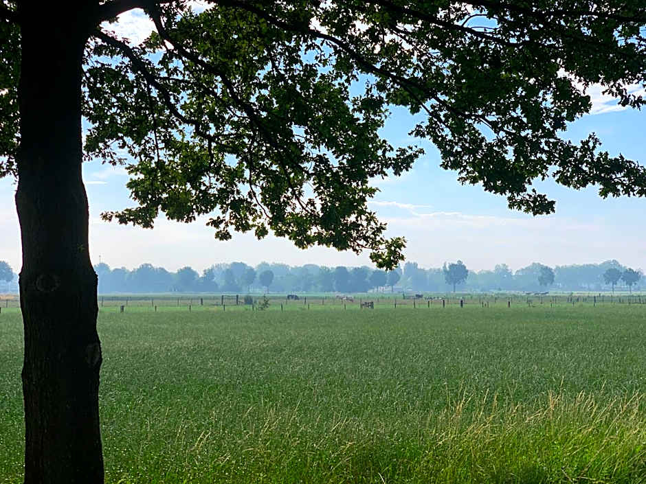 Het Gouden Hert