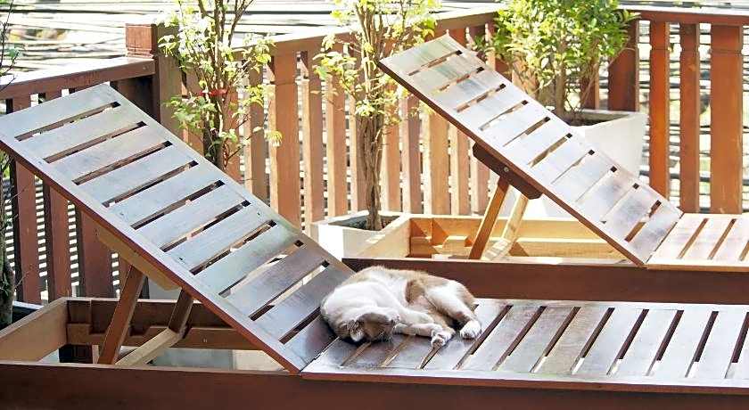 Chommuang Guest House At Ayutthaya.