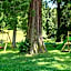 Rimske Terme Resort - Hotel Zdraviliški dvor