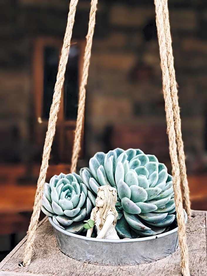 Makoadi Farms Guesthouse