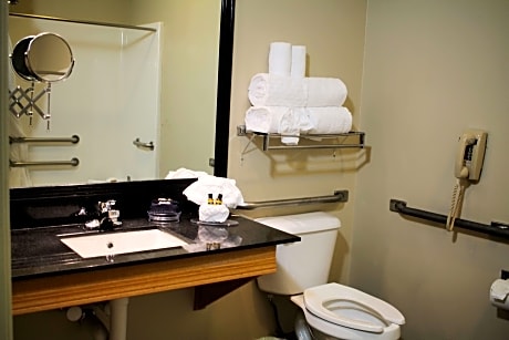 suite-2 queen beds - mobility accessible, bathtub, sofabed, non-smoking, full breakfast