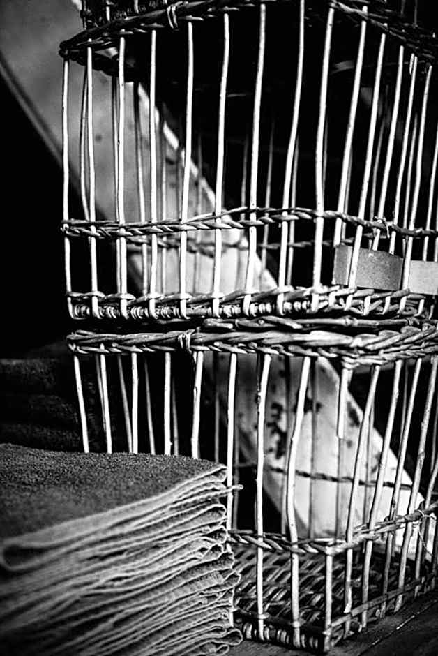 Poëziehotel Surplace - 15 min van Pairi Daiza & industriezone Ghislenghien