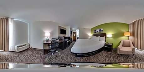 Standard King Room - Non Smoking