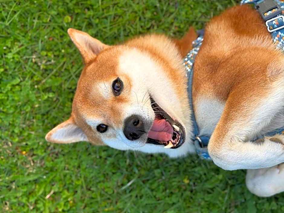 G House Rimini Spiaggia