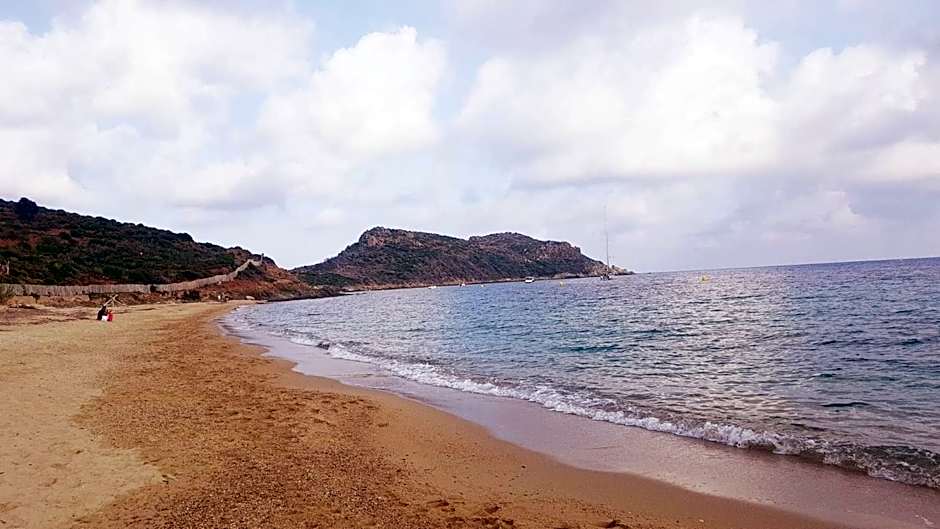 Clos des Vignes Pampelonne Vineyard