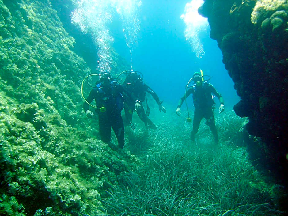 Avantis Suites Hotel