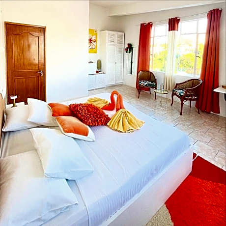 Deluxe Double Room with Shower (Family)