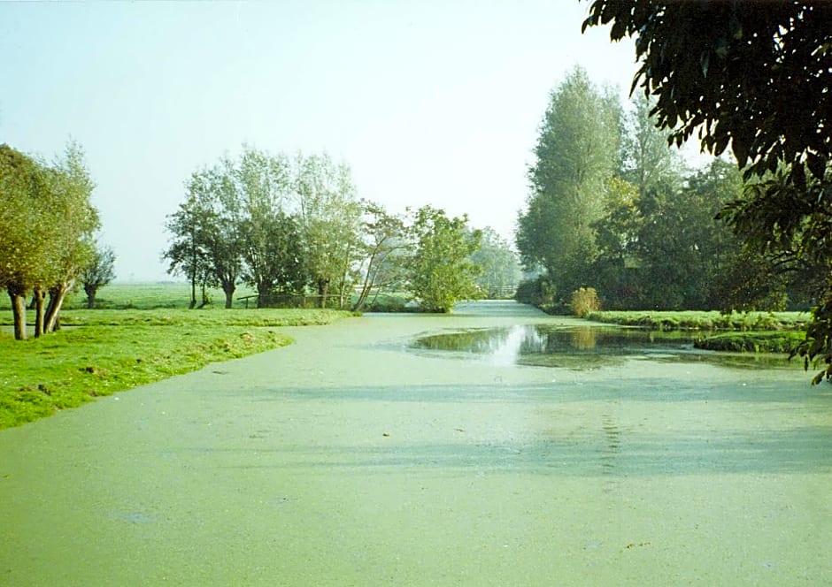 de Boomgaard Groene Hart