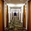 ibis Paris Porte D'Orleans