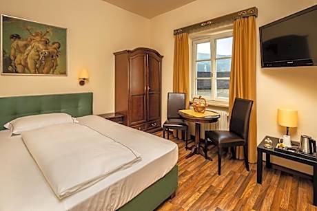 Single Room with Mountain View