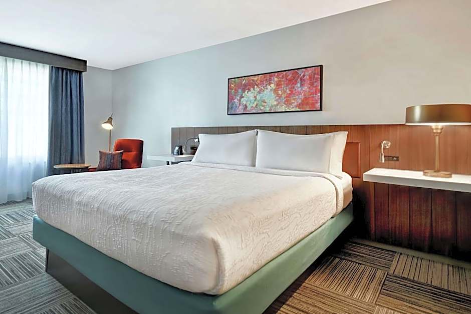 Hilton Garden Inn Houston/Galleria Area