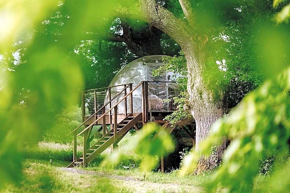 les bulles perchées de lartigue