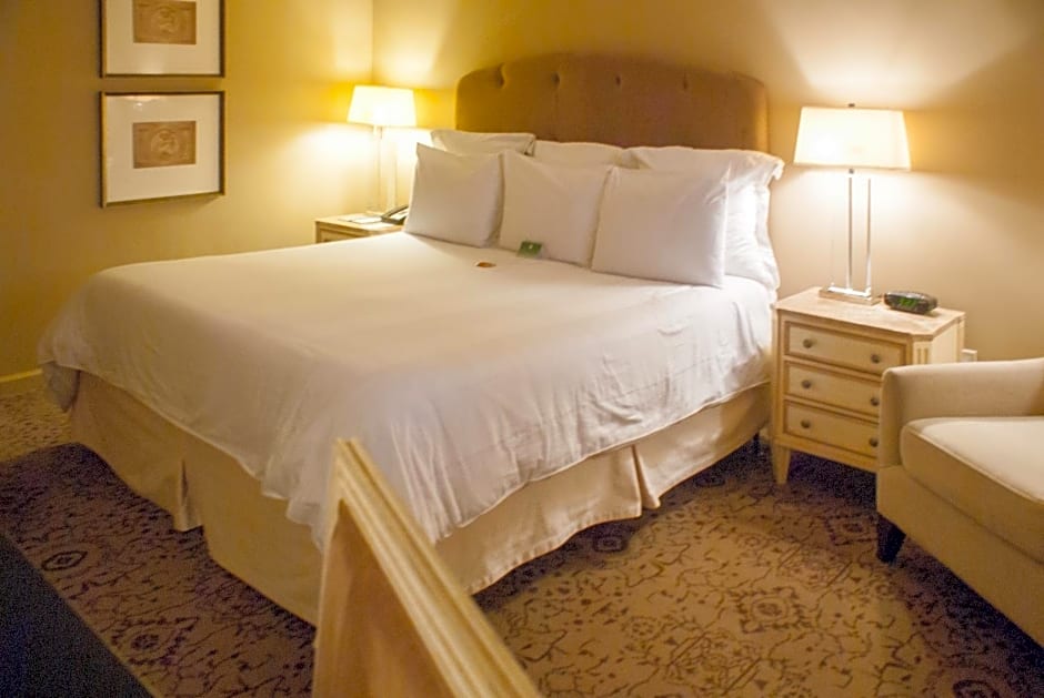 Dauphine Orleans Hotel