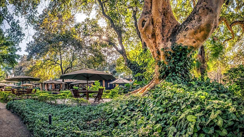 Elewana Arusha Coffee Lodge