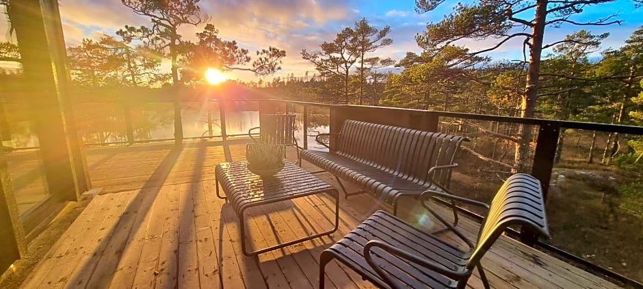 Iveland Tree Top Panorama