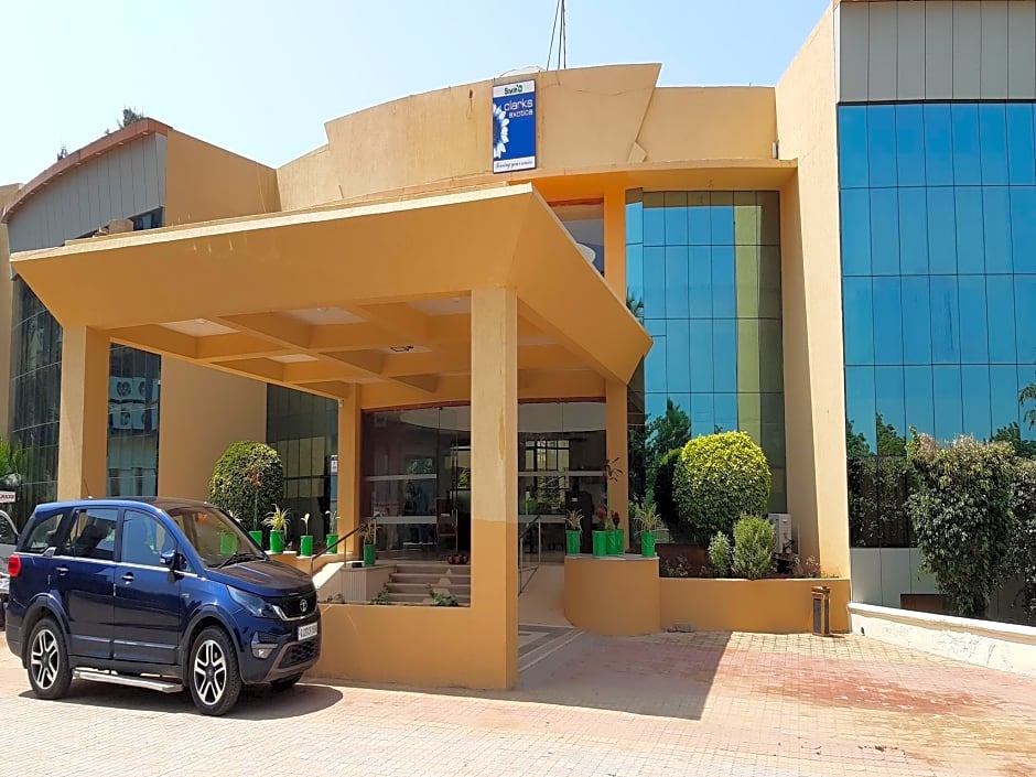 Seven sky Clarks Exotica