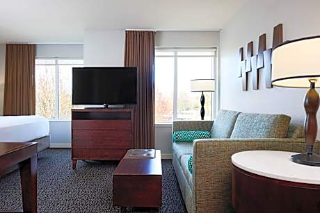 King Studio with Roll-In Shower - Disability Access