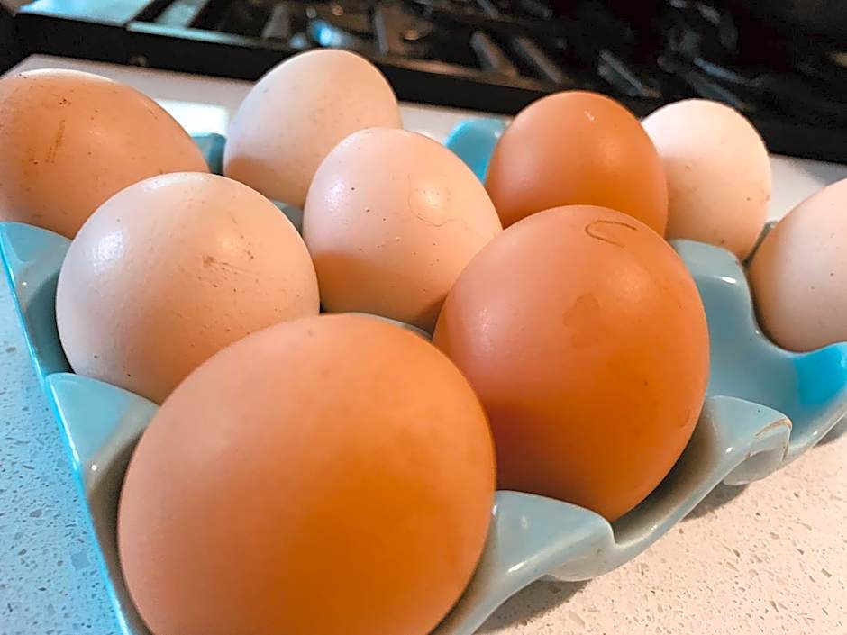 Tomah Retreat - Studio BREATHE with fireplace