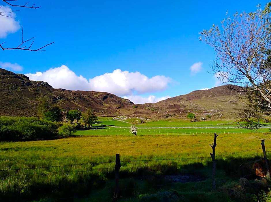 Madra Rua Organic Accommodation