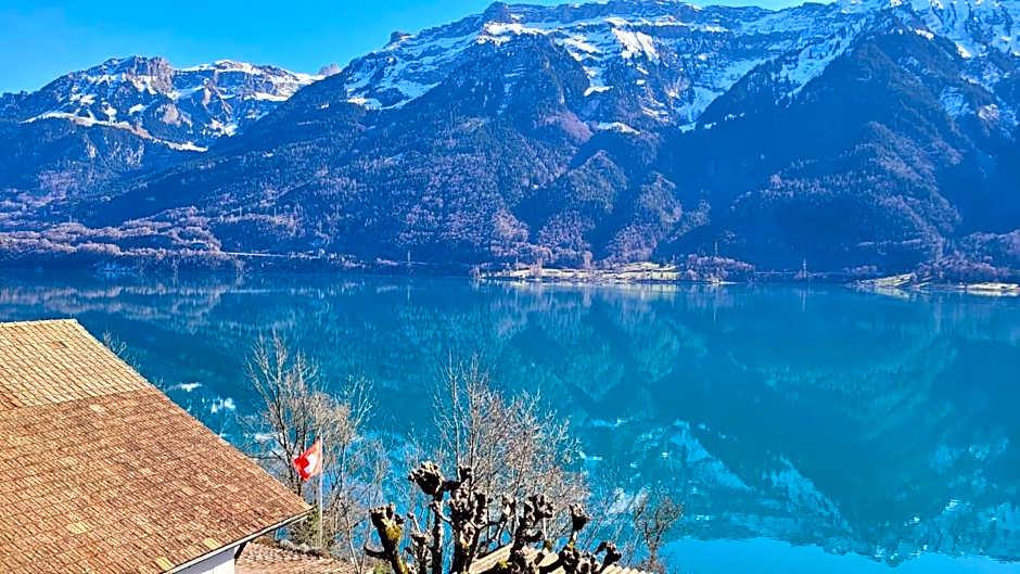 Alpina Boutique Hotel Interlaken - Ringgenberg - Adults only !