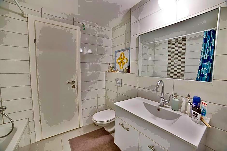 V-Home Dotan apartment