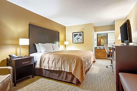 1 King Bed, Nonsmoking, Accessible