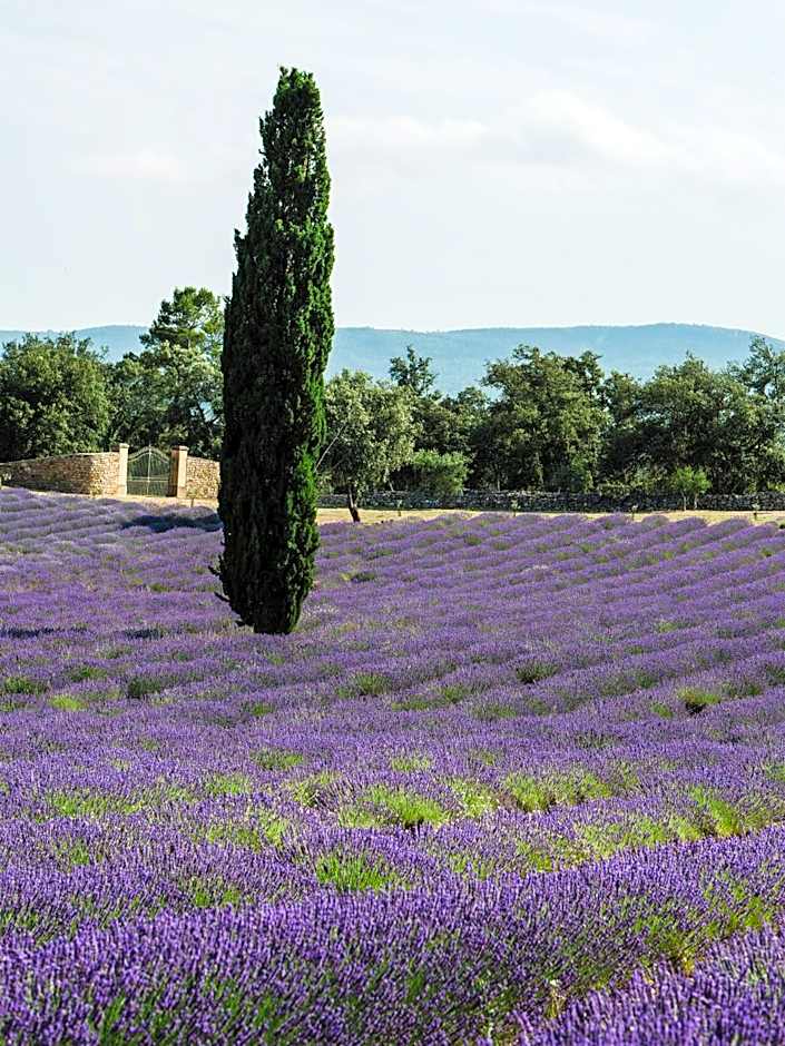 Villa Pivoine - Château La Martinette