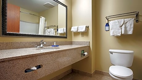 1 KING BED,NSMK,32INFLTV,JACUZZ,HISPD,MICRFG,COFMKR,CONTINENTAL BREAKFAST