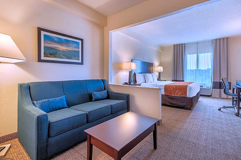 Comfort Suites Gastonia - Charlotte